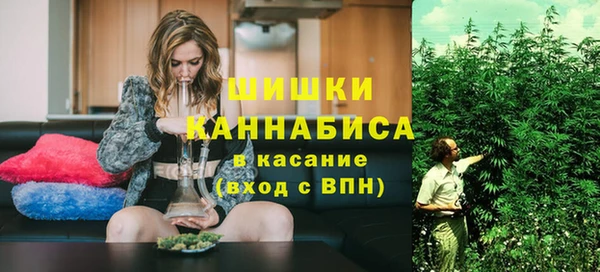 ПСИЛОЦИБИНОВЫЕ ГРИБЫ Алзамай